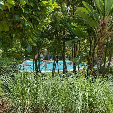 Cubo's Mimosas & Parking Marbellac